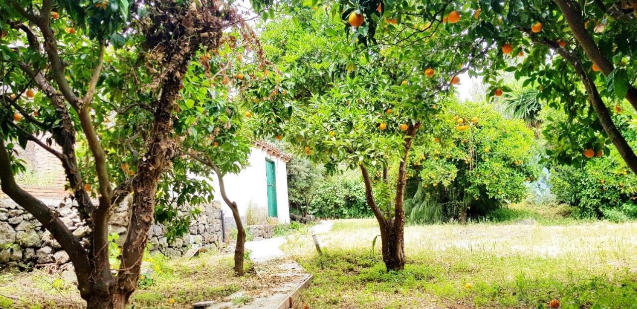 L'Aranceto Acireale Exterior foto